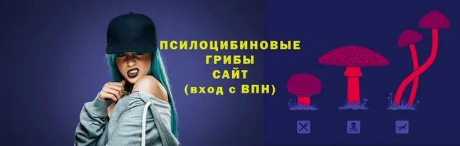 сатива Армянск