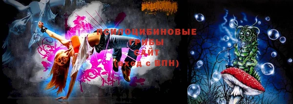 сатива Армянск