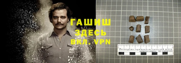 сатива Армянск